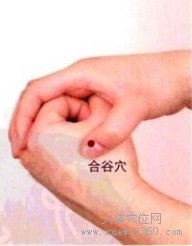 <a href='http://www.liuyanbao.net/rentixueweichaxun/475.html' target='_blank'><u>合谷穴</u></a>：大肠经(图文)