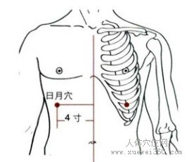 日月穴：胆经(图文)
