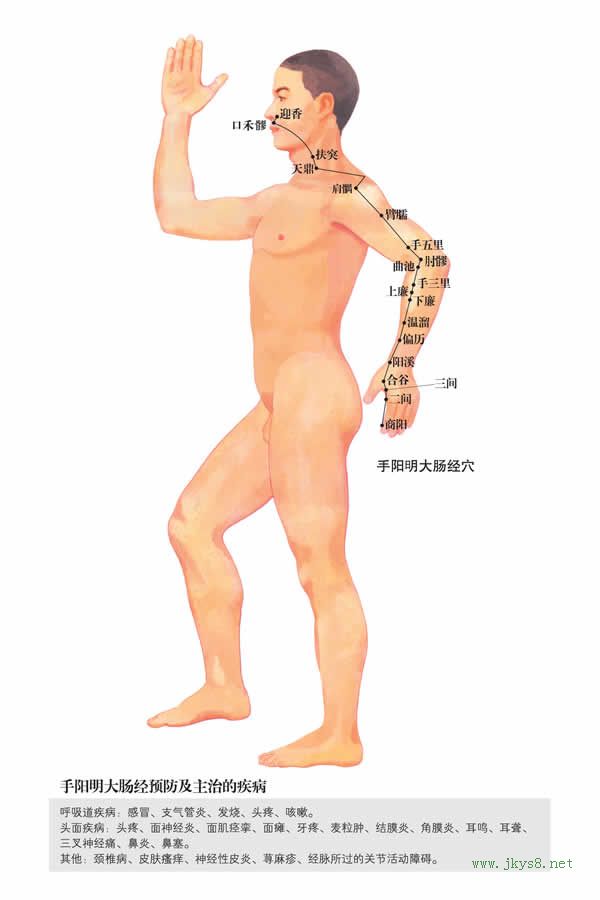 <a href='http://www.liuyanbao.net/rentixueweichaxun/475.html' target='_blank'><u>合谷穴</u></a>：大肠经(图文)