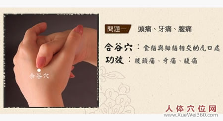 <a href='http://www.liuyanbao.net/rentixueweichaxun/475.html' target='_blank'><u>合谷穴</u></a>的功效