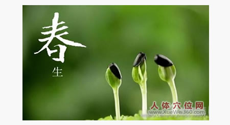 春天是生发阳气，排除体内毒素的最佳时间