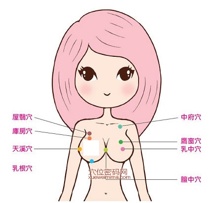丰胸穴位